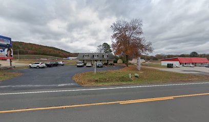 Hot Springs Village Voice